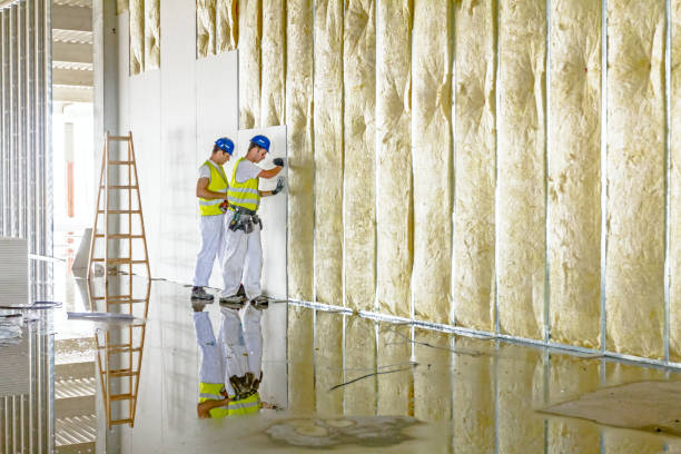 Best Specialized Insulation Services in Big Beaver, PA